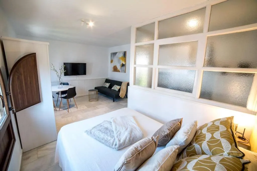 Superior Suite Giralda Views Mateos Gago 5 Iiia 0*, Seville Spain